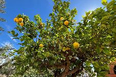 House in Nerja - A2404 Beautiful Townhouse with Communal Pool, Nerj